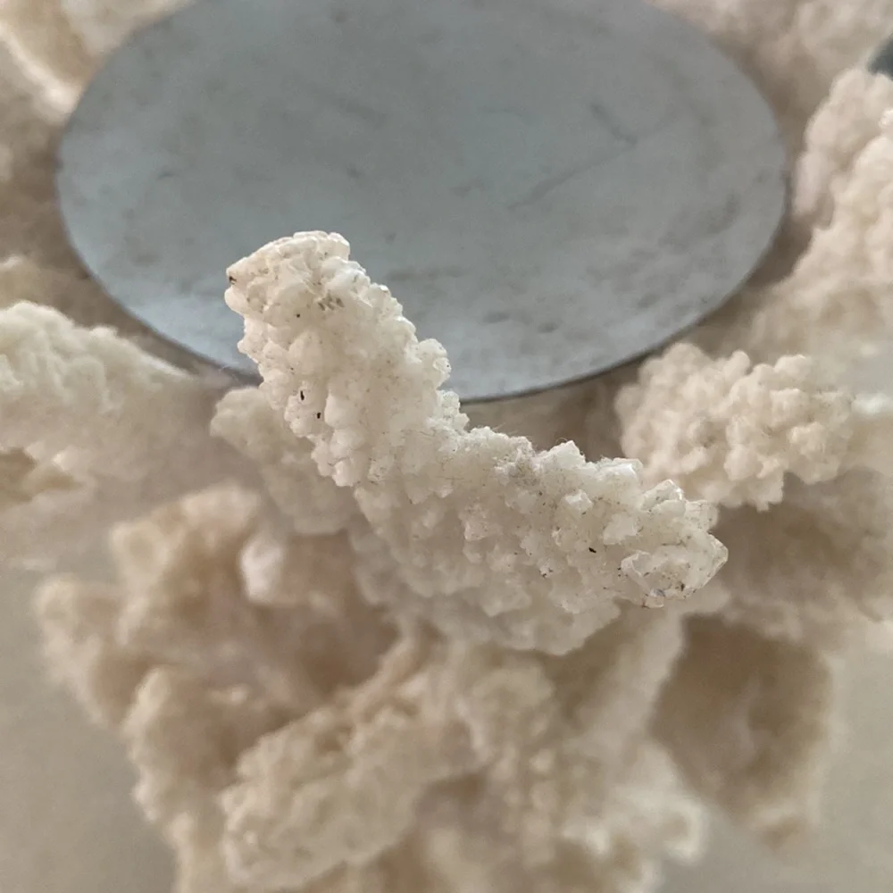 Coral Candle Holder